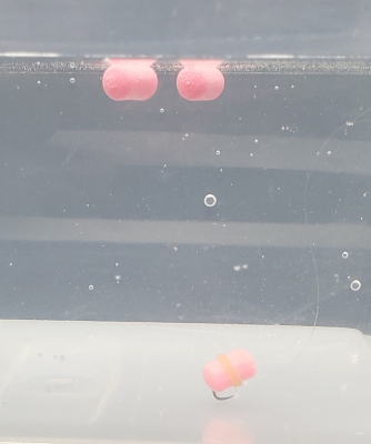 Dumbell Wafter 7 x 11 mm PINK GARLIC 2.0