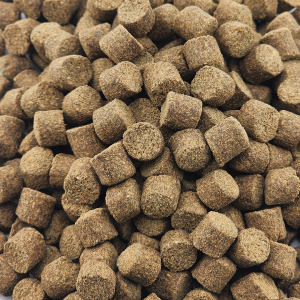 HJG Drescher Futter Pellets in 2 mm