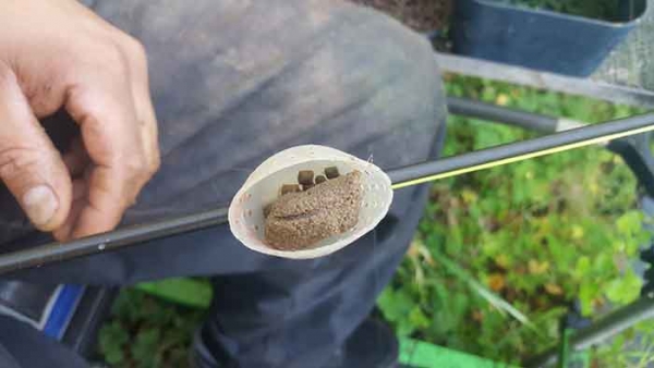 Paste Anködern - Schritt 4
